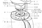 九阳JYZD-22型全自动豆浆机电路工作原理