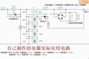 电猫捕鼠器电路图，电猫捕鼠器电路图片