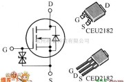 综合电路中的CED2182、CEU2182内电路图