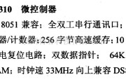 数字电路中的芯片引脚及主要特性DS80C310微控制器