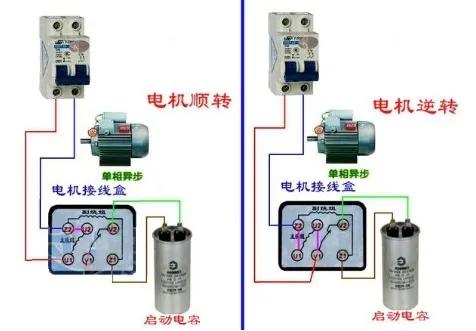 实物介绍单相电机正反转接线图(220v)  第1张