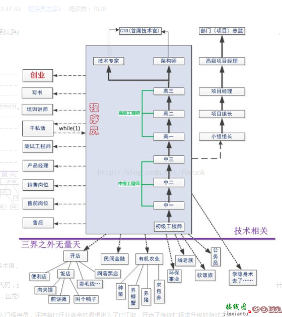 程序员的职业路线图  第1张