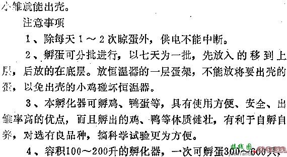 自制恒温电孵化器电路图  第5张