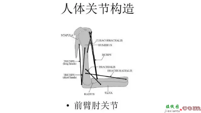 工业机器人的主要技术参数及控制技术  第40张