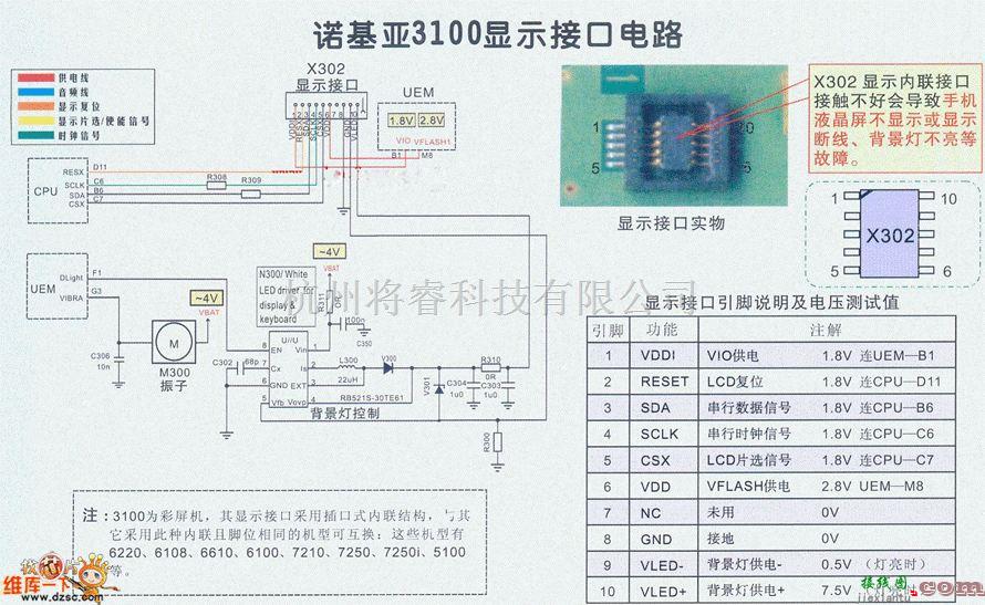 接口电路中的诺基亚3100显示接口电路图  第1张