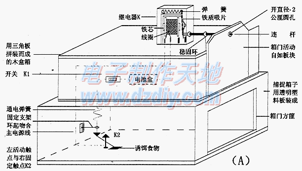 安全节能的鼠类自动捕捉器  第2张