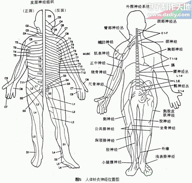 无针电子针灸器的制作  第4张