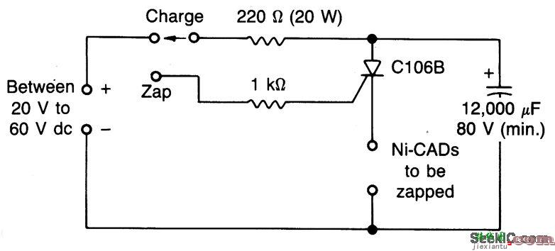 镍镉电池灭虫器  第1张