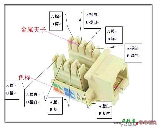 电脑网线插座怎么接线?电脑网线插座接法图解  第1张