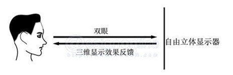 论自由立体显示系统在人机交互研究中的应用  第10张